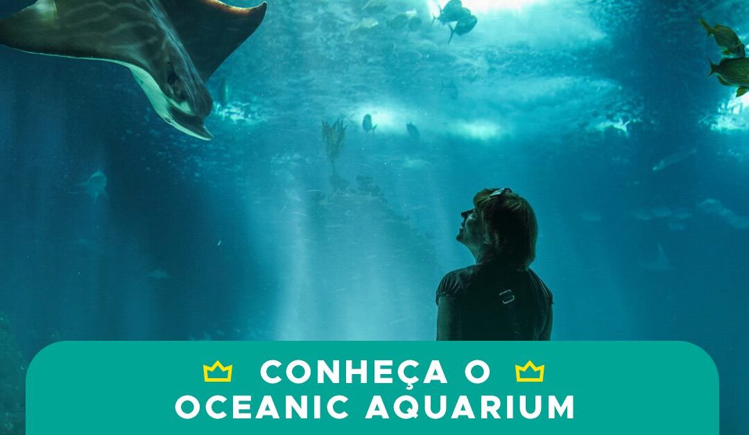 Oceanic Aquarium: Tudo sobre essa atração em Balneário Camboriú